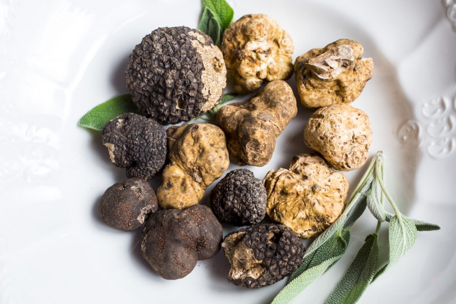 Tartufo : Benefici & proprietà Nutrifiche